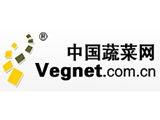 vegnet.com.cn