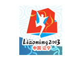 liaoning2013.com.cn