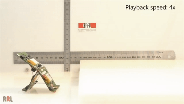 仿生蚂蚁机器人面世，分工协力搬重物，跳高跨栏都能行丨Nature