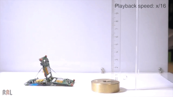 仿生蚂蚁机器人面世，分工协力搬重物，跳高跨栏都能行丨Nature